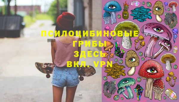 соль курить ск Богданович