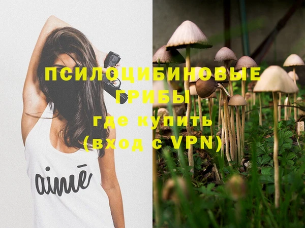 амфетамин Богородицк
