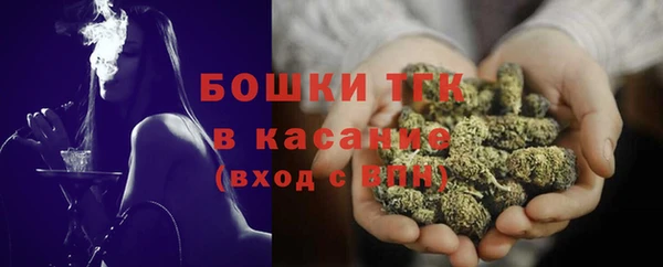 соль ск Богородск