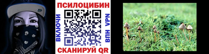 Купить закладки  Нижний Новгород  Галлюциногенные грибы Magic Shrooms 